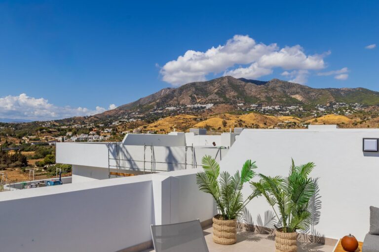 Roof terrace with palms and view of the Mijas mountains